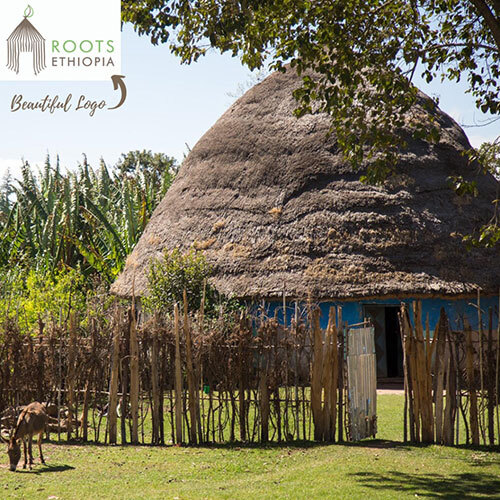 Traditional Ethiopian house with a thatched roof and wooden fence and the Roots Ehtiopia logo in the top left.