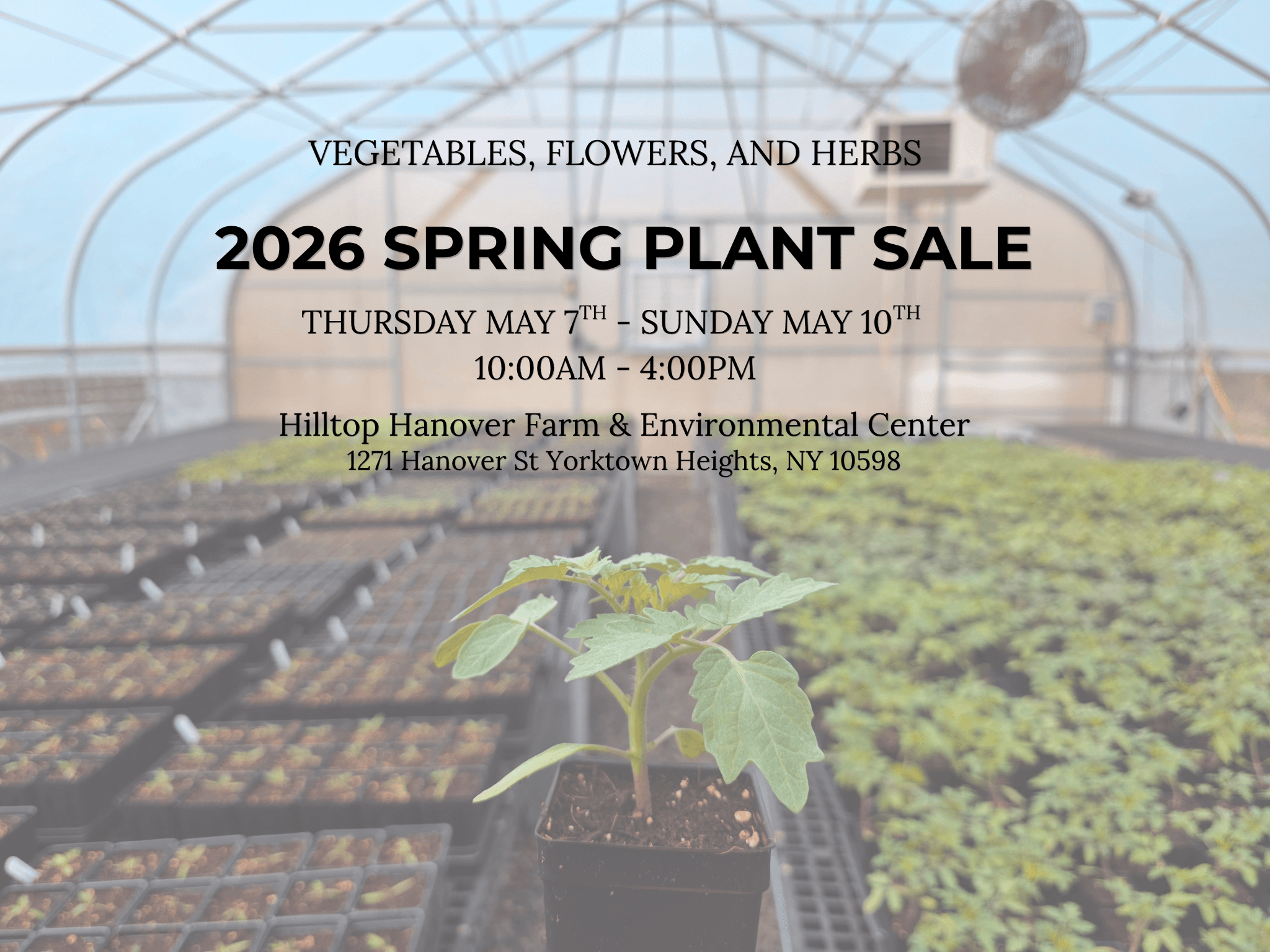 Spring Plant Sale