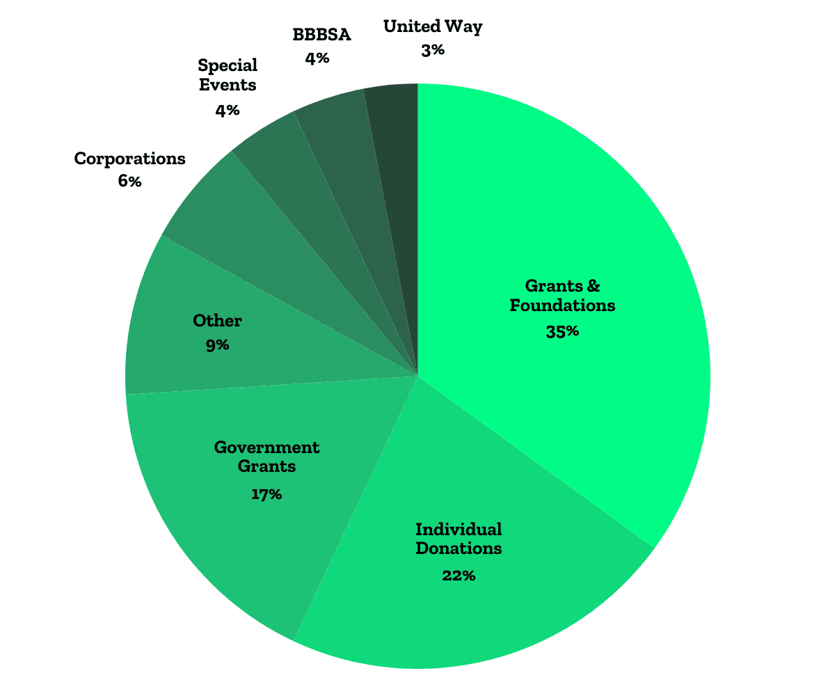 Pie chart displaying BBBS 2024 Financials