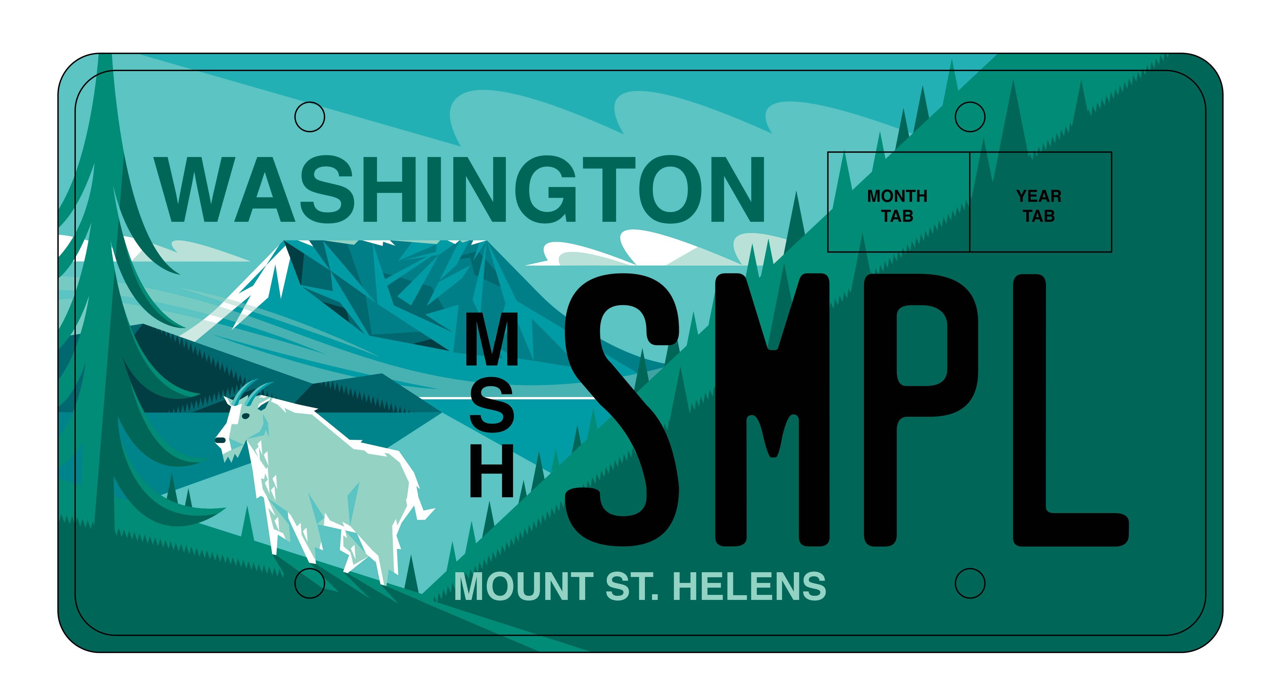 MSH license plate