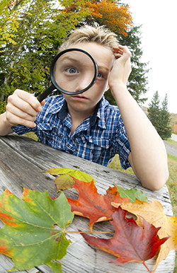 Youth Enrichment Services Offers New Program: Kennedy's Lab