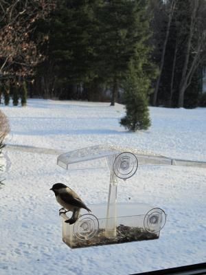 Daily Prayer February 19