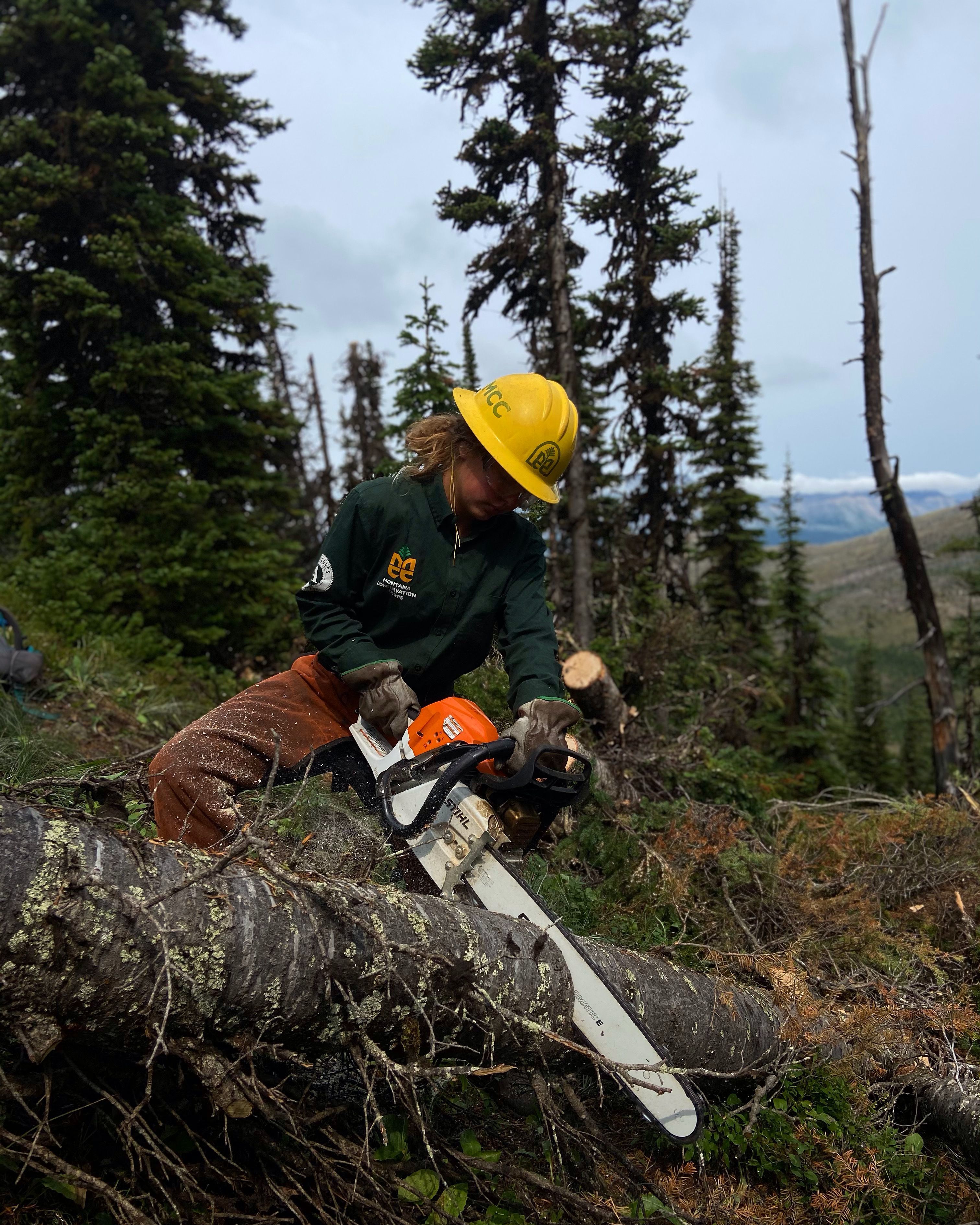 A crew member saws at a log