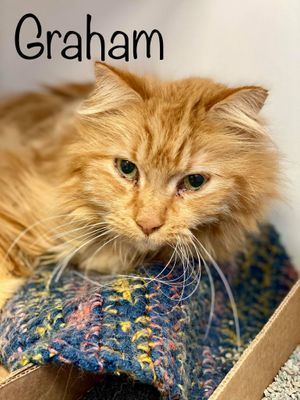 GRAHAM