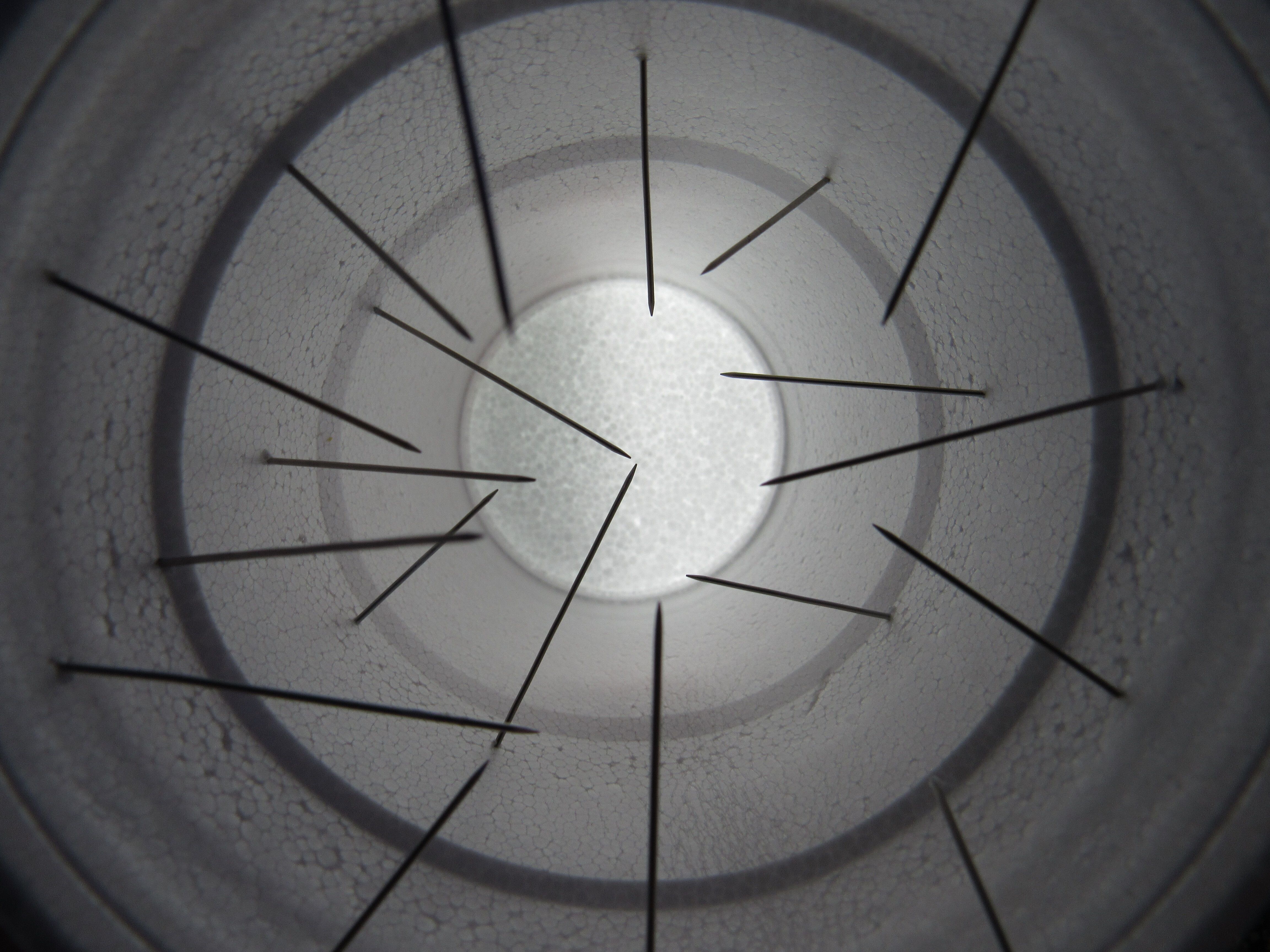 2nd Place Photography