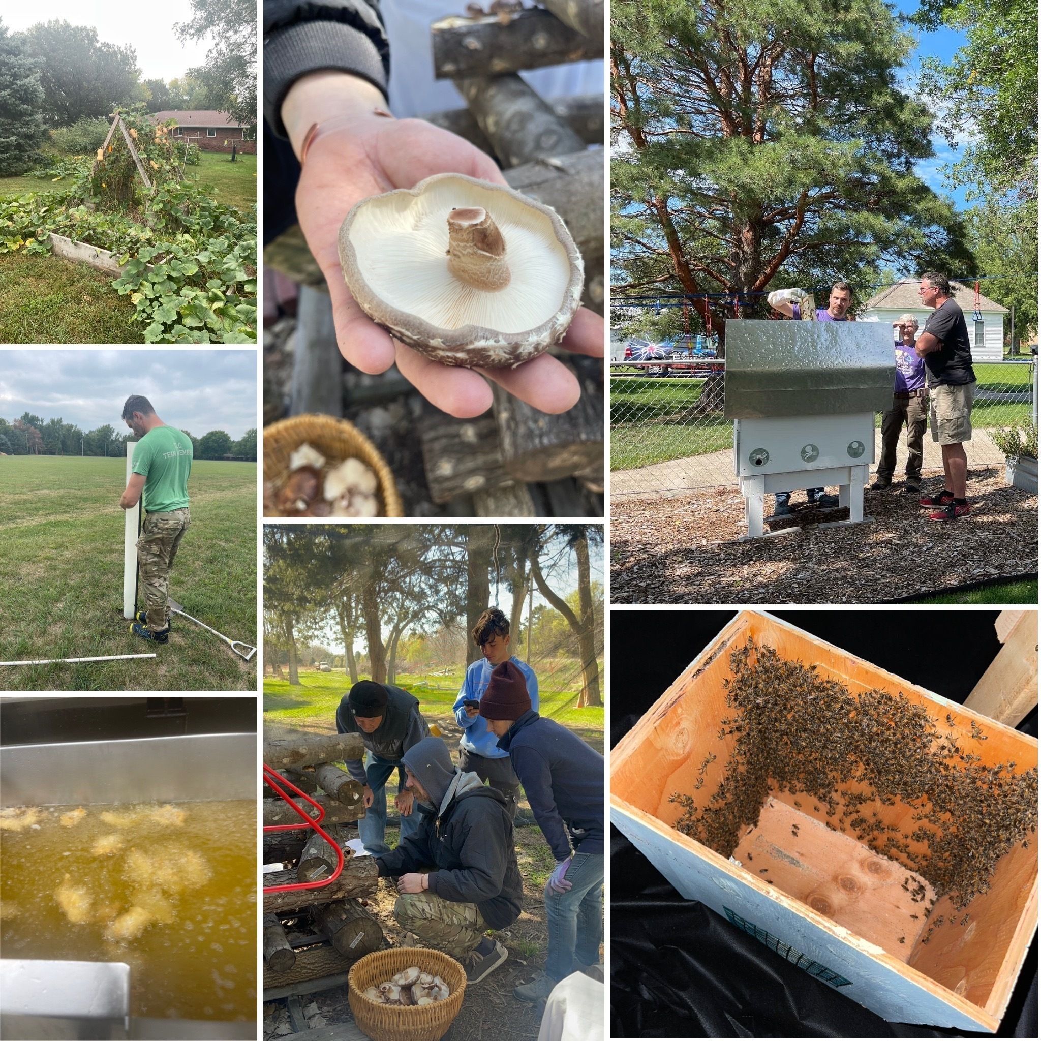 TLC Becomes an Urban Farm