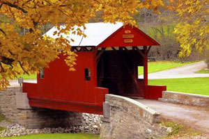 Judy's Leisure Tours