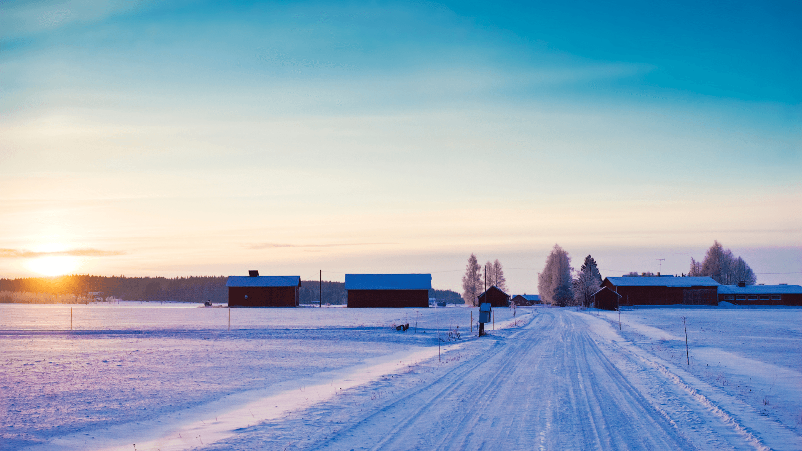 Snowy farm land at sunset