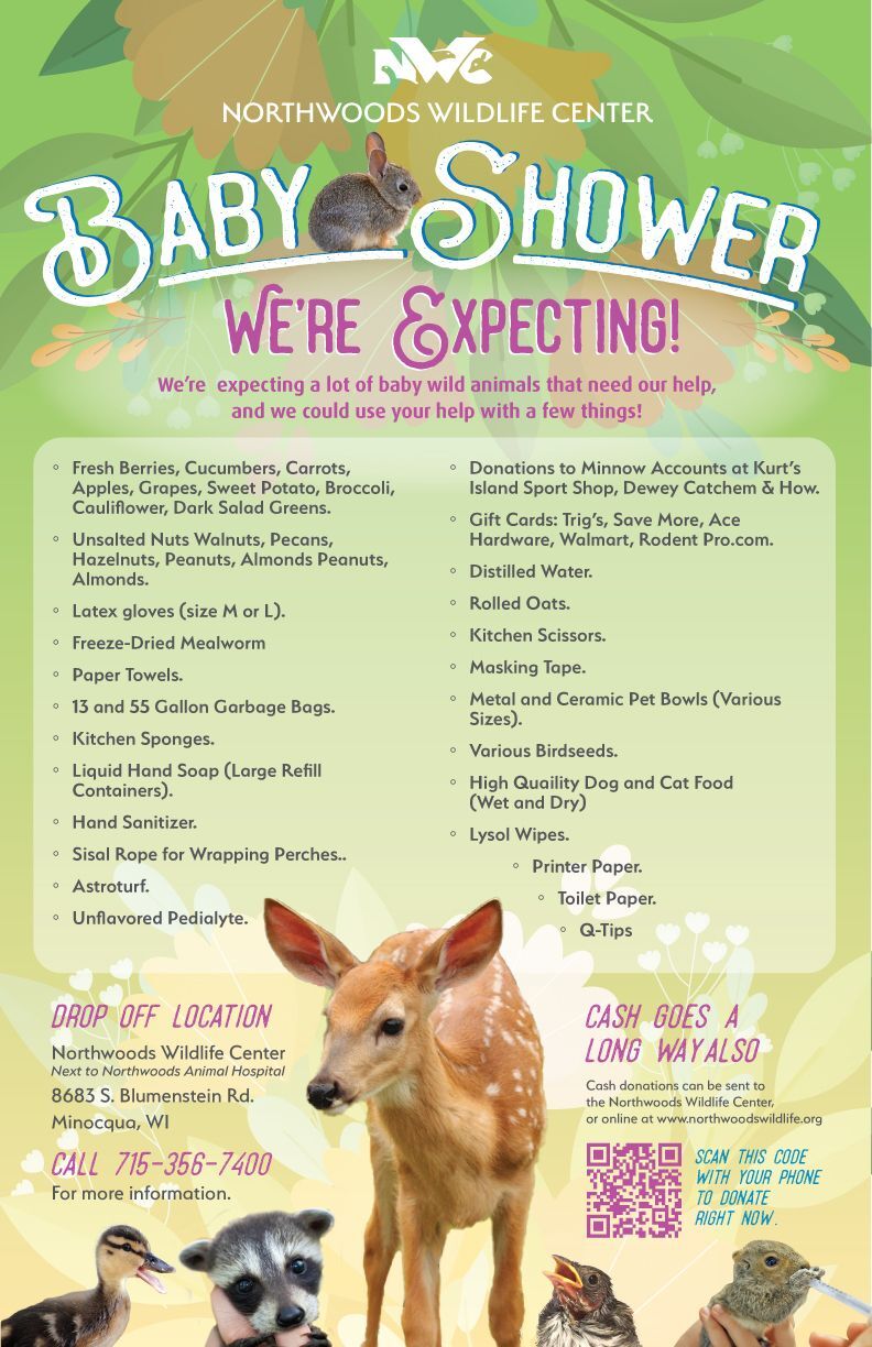 Northwoods Wildlife Center Baby Shower Poster