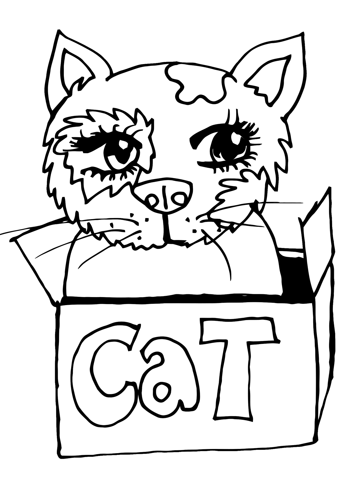 Digitize Your Drawings into Coloring Pages! Workshop