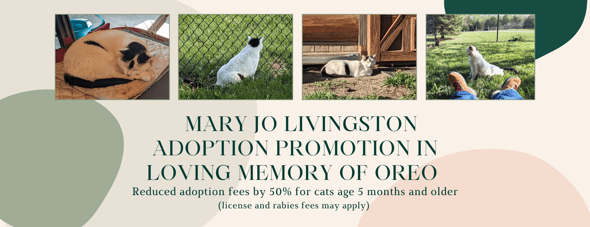 Mary Jo Livingston Adoption Promotion