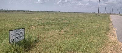 Houston Audubon Secures $3 Million Dollar Critical Coastal Habitat on Bolivar Peninsula – one of two “missing pieces” adjacent to its Bolivar Flats Shorebird Sanctuary