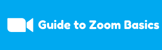 Guide to Zoom Basics