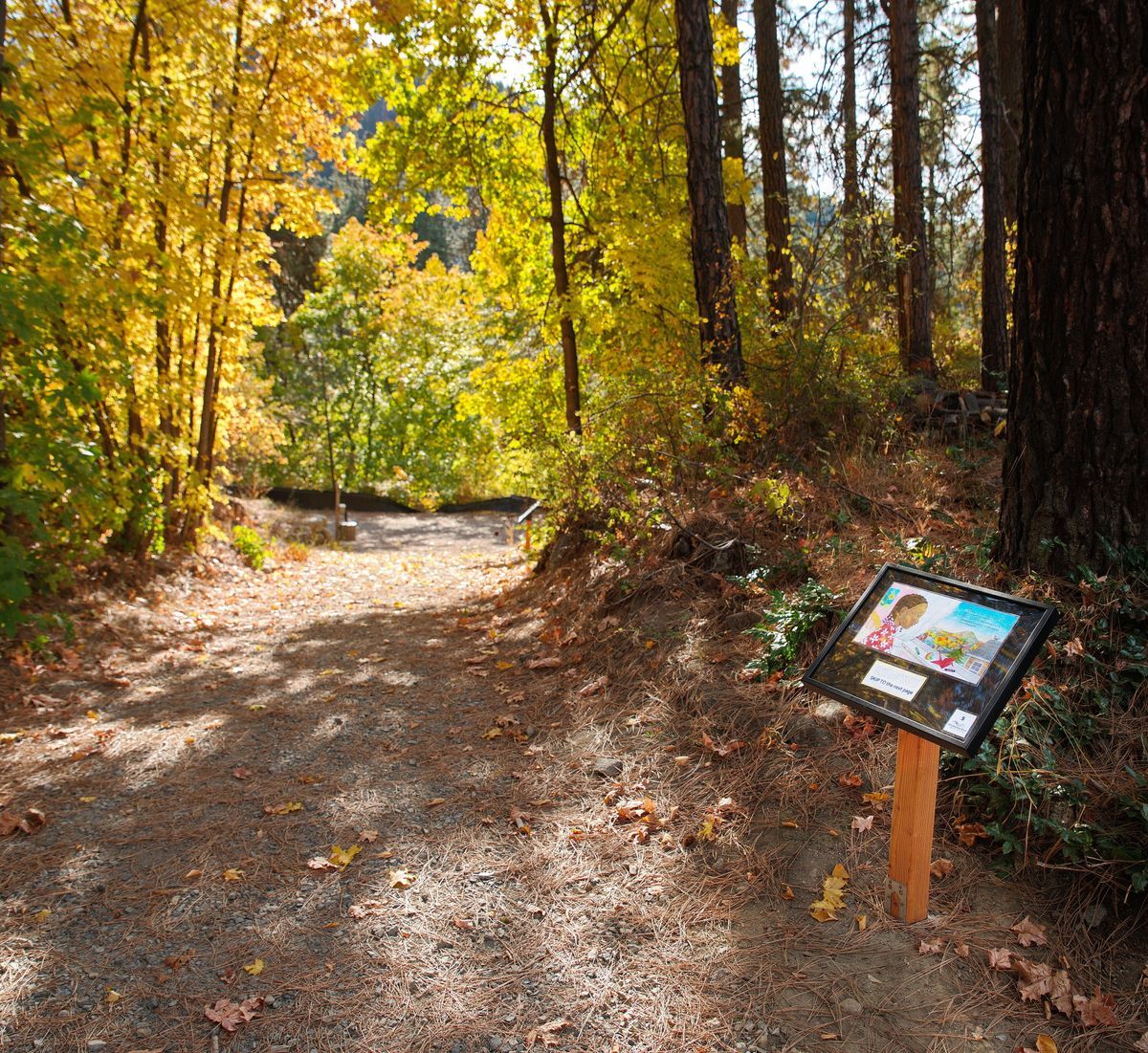 Enjoy reading and the outdoors at the same time! Follow the trail by the Outdoor Classroom to read along this month's book: A Day with Yayah by Nicola I. Campbell.