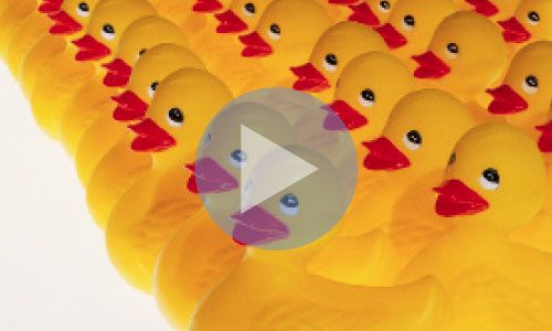 Getting Your Ducks in a Row: Legal Planning