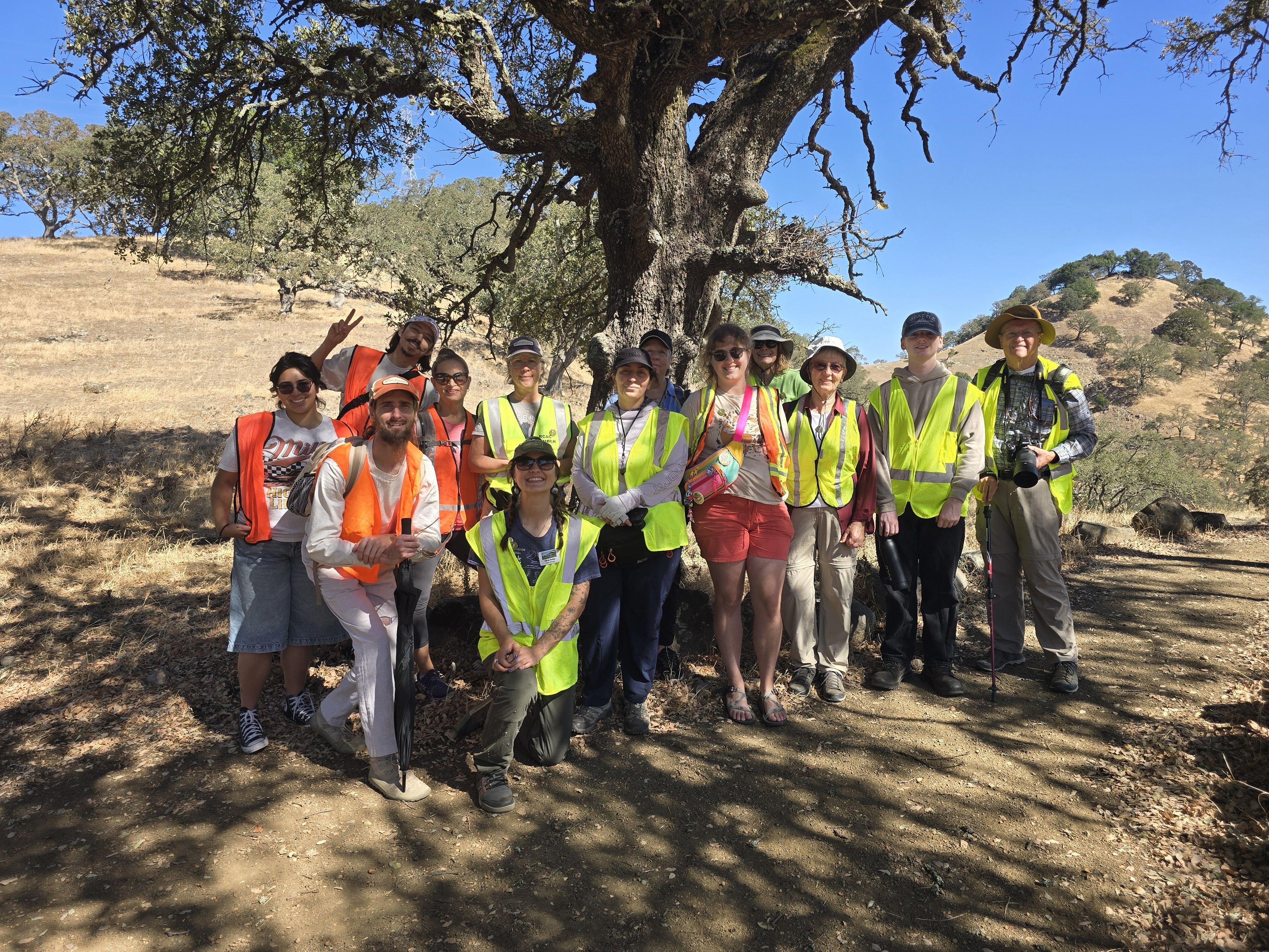 science volunteers in highlighter yellow and blaze orange vests posed in front of an oak tree during the day