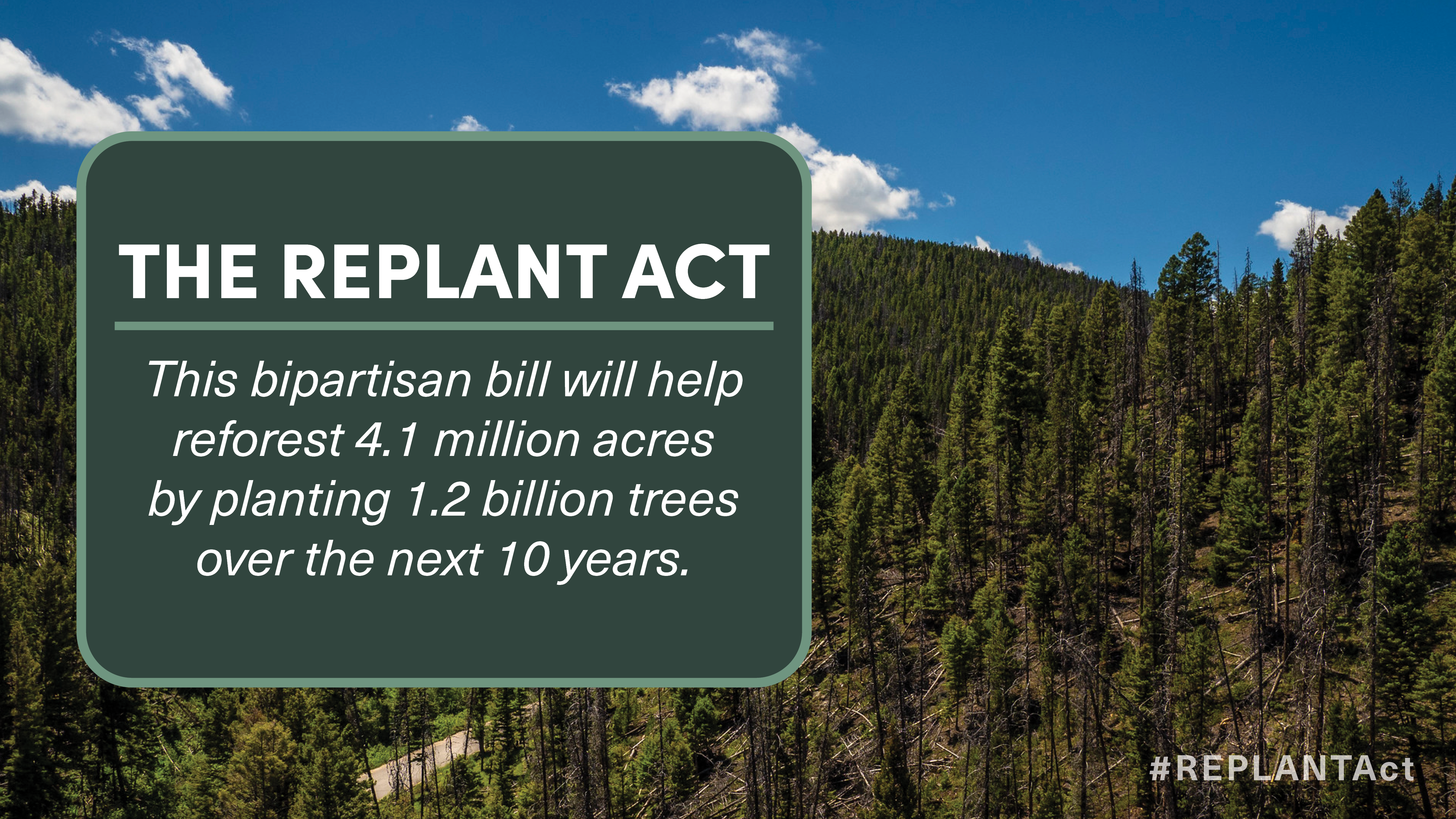 YECA Applauds Introduction of Bipartisan REPLANT Act