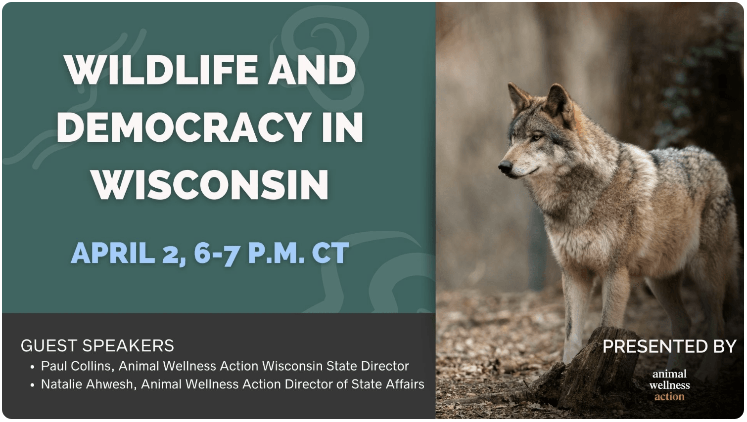 WILDLIFE AND DEMOCRACY IN WISCONSIN: APRIL 2, 6-7 P.M. CT GUEST SPEAKERS: Paul Collins, Animal Wellness Action Wisconsin State Director Natalie Ahwesh, Animal Wellness Action Director of State Affairs PRESENTED BY: animal wellness action