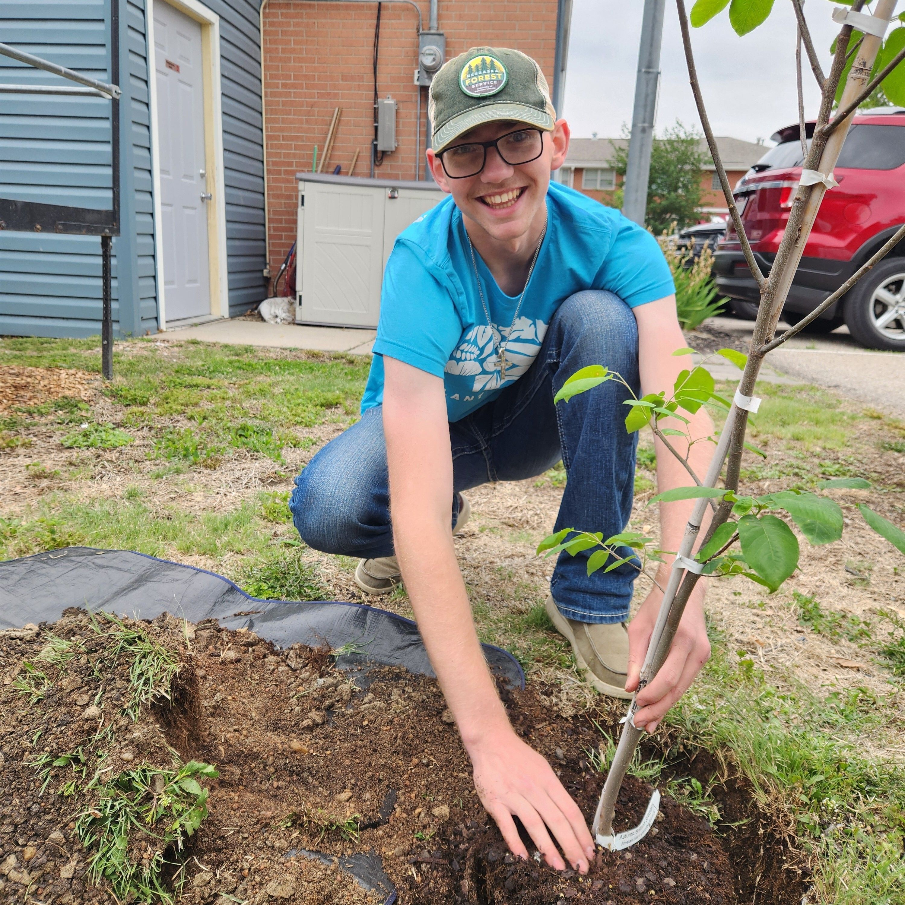 Trees Planted