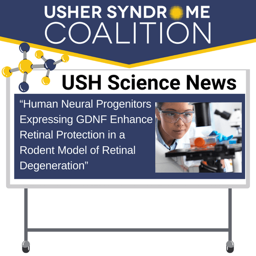 USH Science News: "Human Neural Progenitors: Expressing GDNF Enhance Retinal Protection in a Rodent Model of Retinal Degeneration." There's a small image of a DNA molecule.