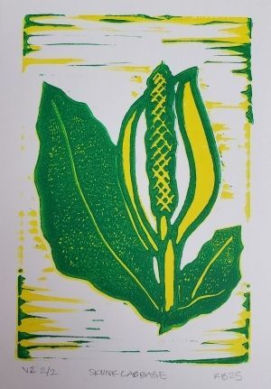 Skunk Cabbage #2
