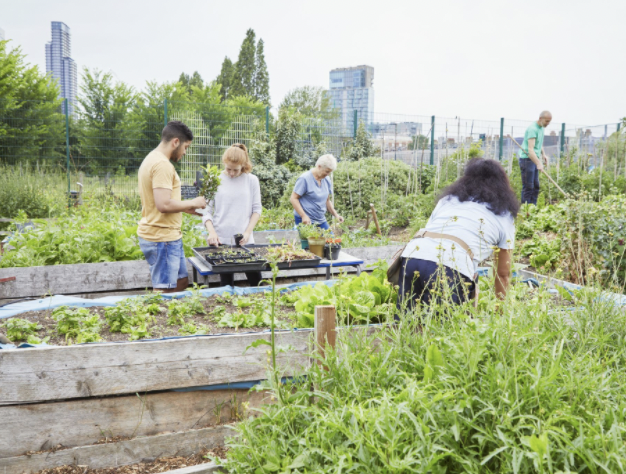 Community Gardens panel