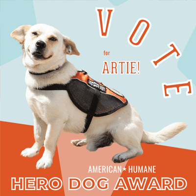 Vote for Hearing Dog Artie!