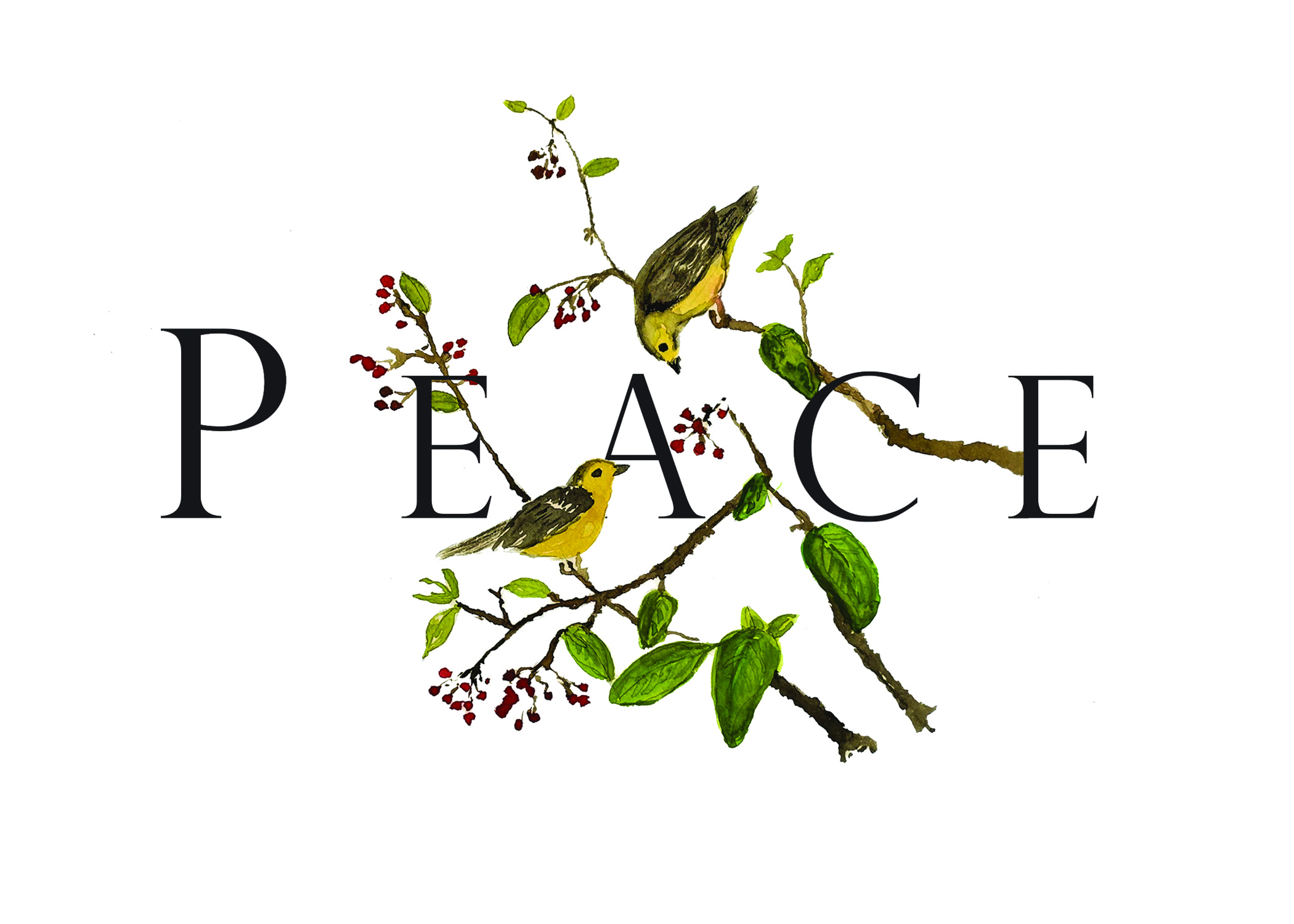 Peace - NEW 2025