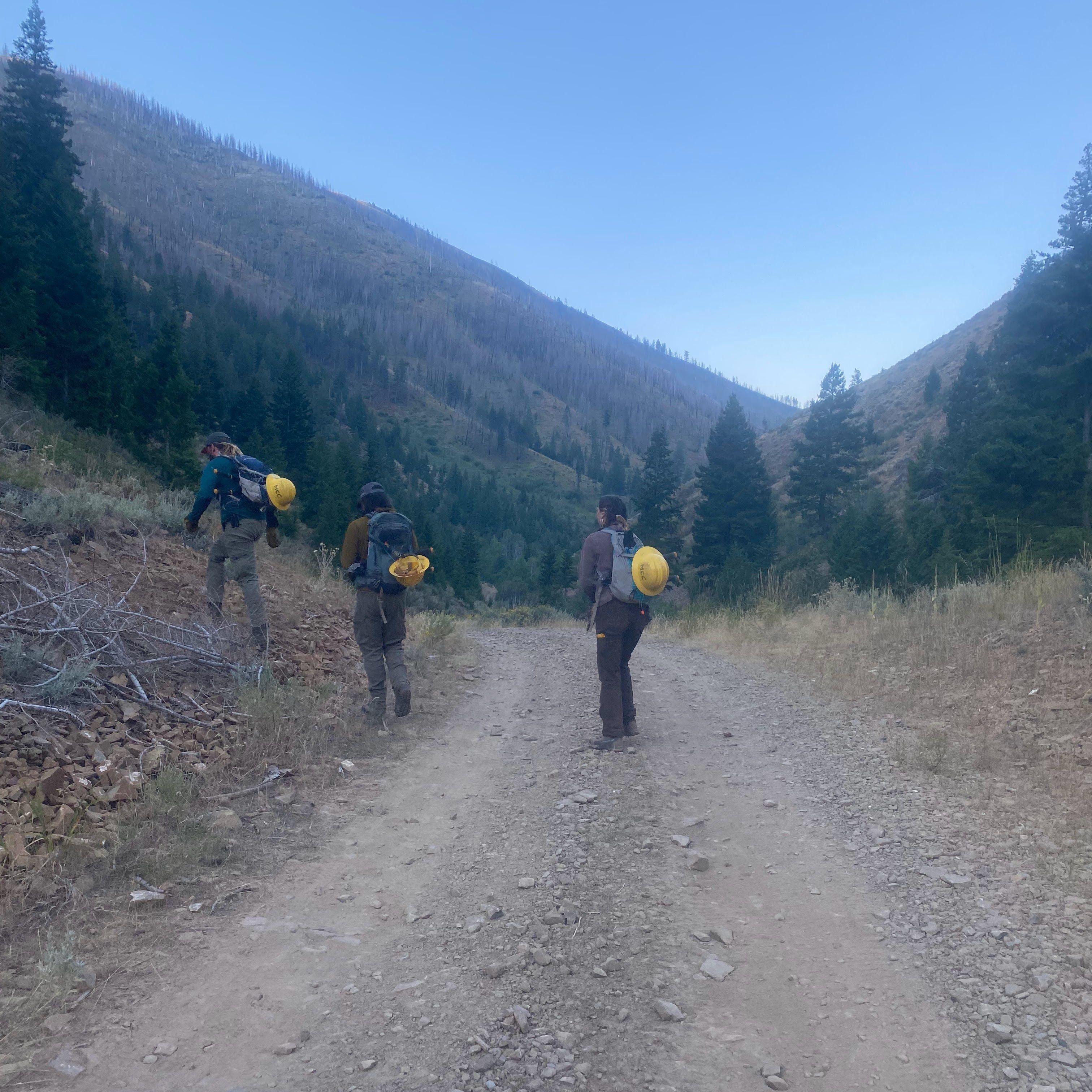 A view of a gravel road through the center of the frame. There are three crew members climbing a hill to the left.