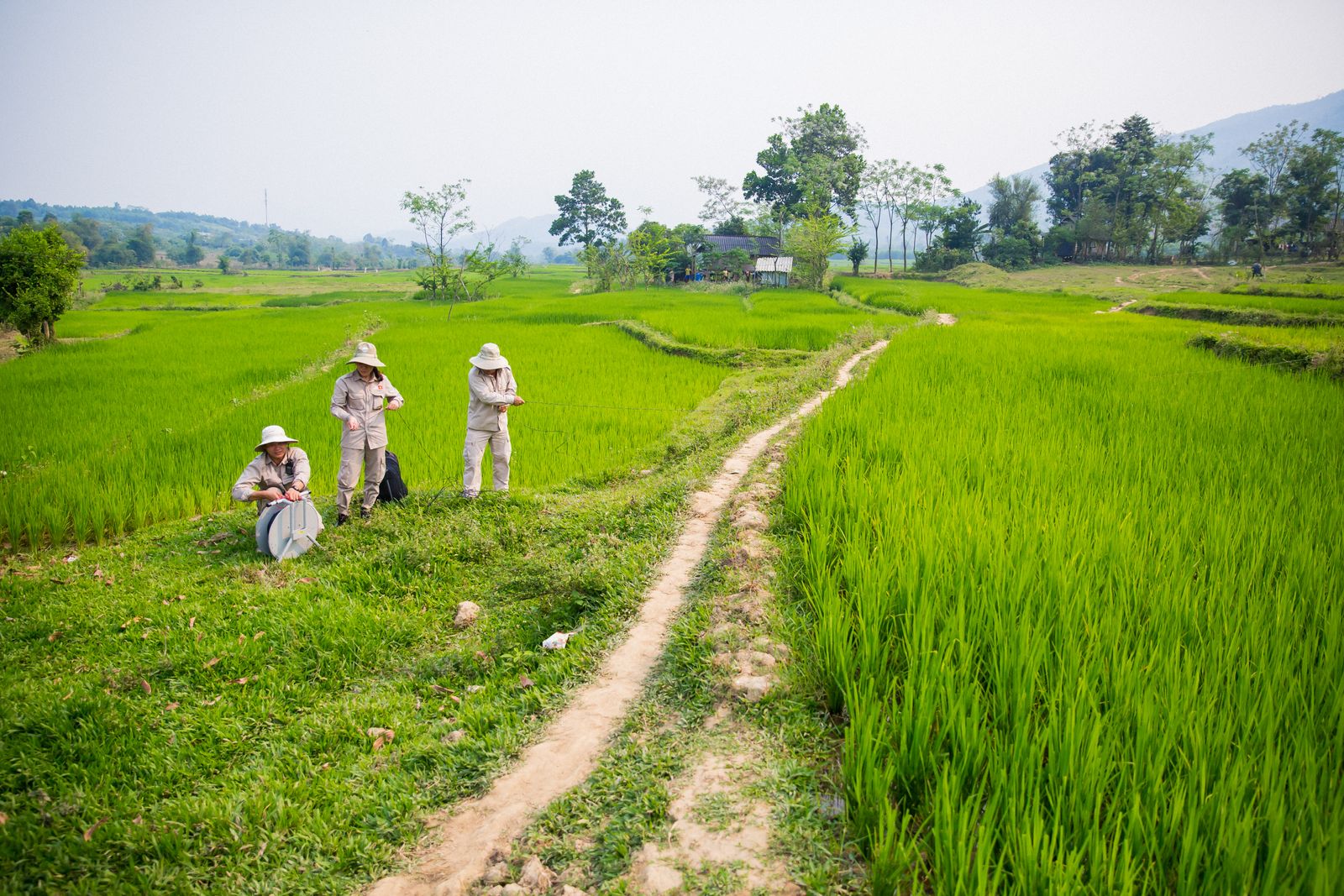 Home : PeaceTrees Vietnam