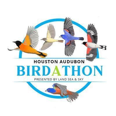 Birdathon 2022