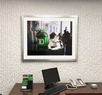 Framed Digital Print
