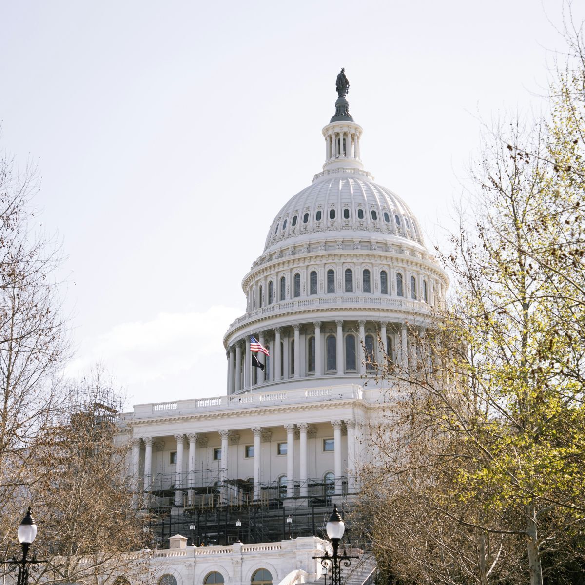 Recognizing Our Champions of Progress