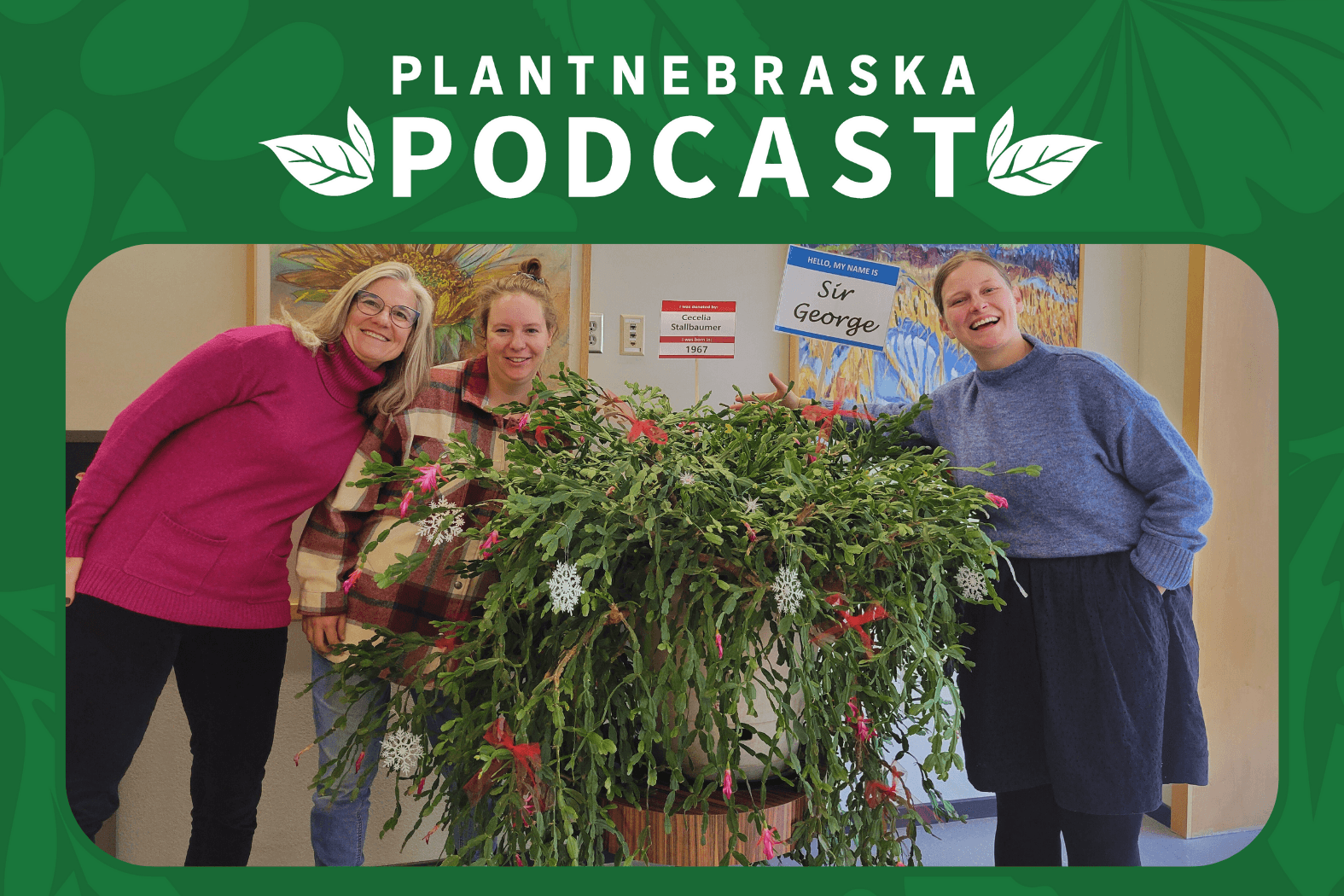 #99 2025 Books & Gifts