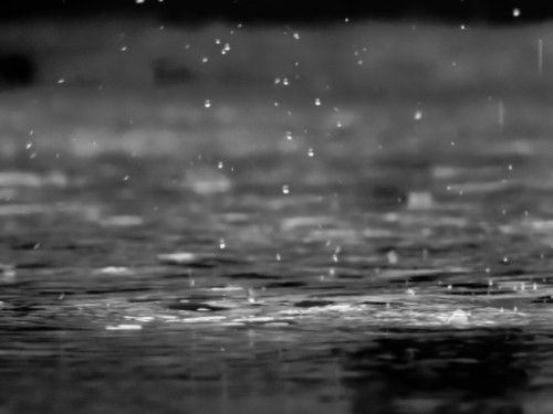 Black and white image of rain drops landing in a puddle