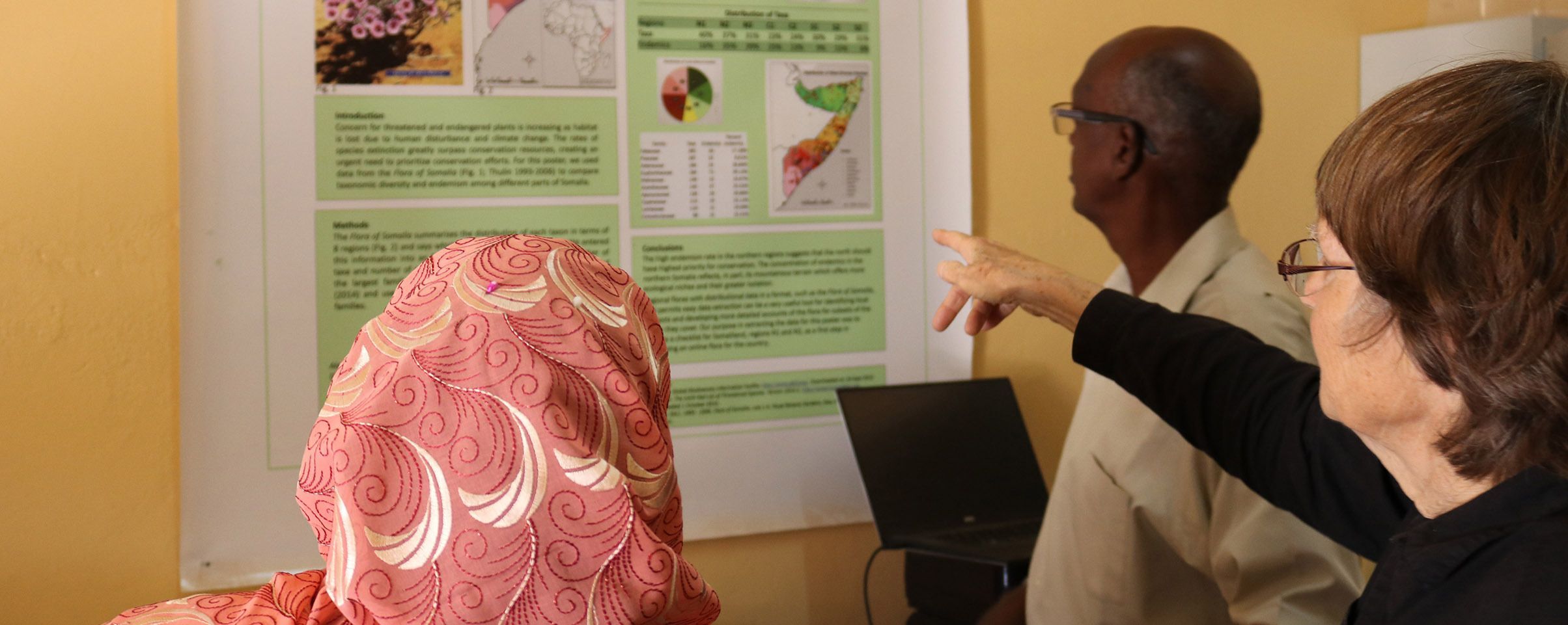 Sharing information - viewing a poster on the distribution of endemic species in Somalia and Somaliland developed from the flora of Somalia