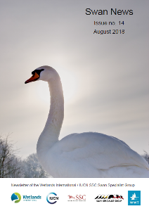 Swan News No. 14_ August 2018 (pdf)