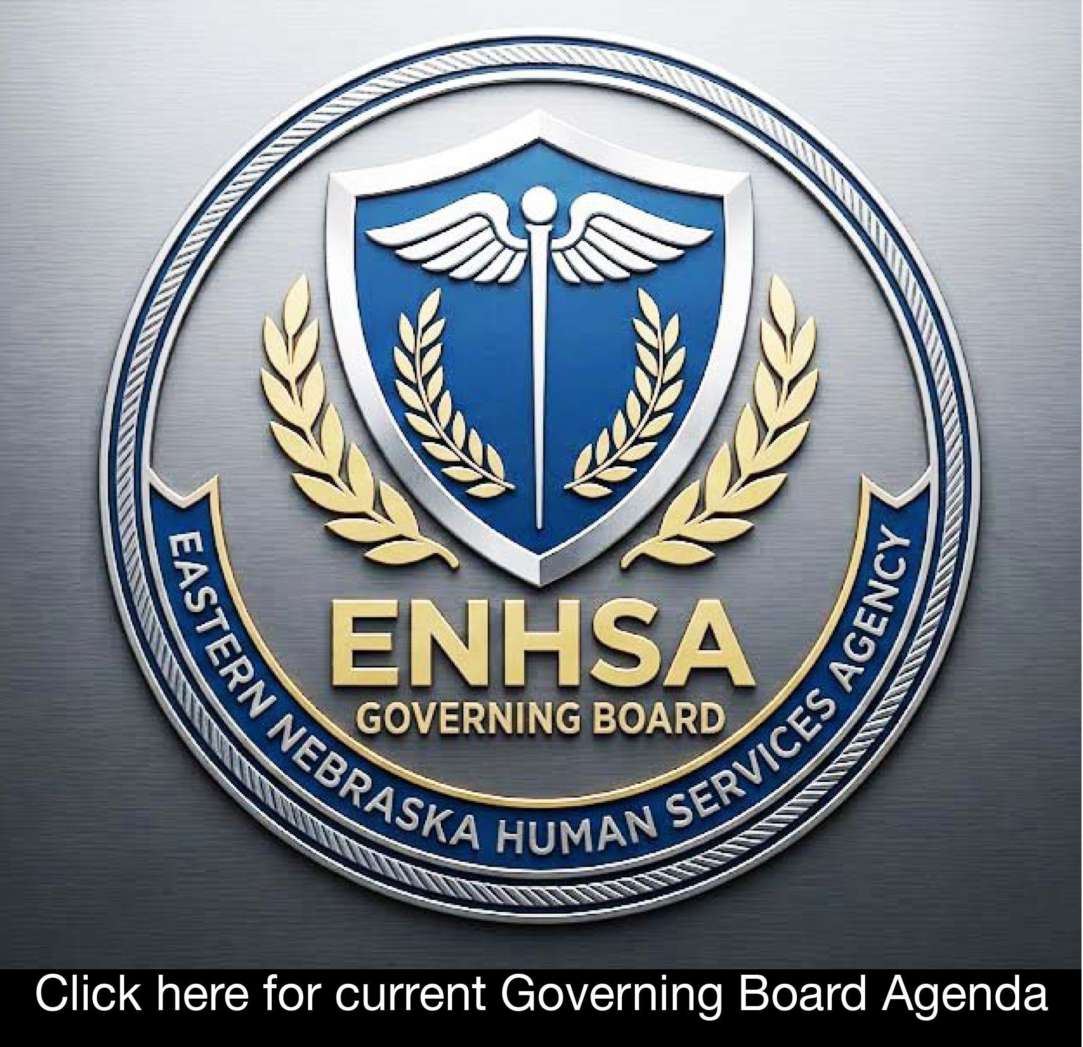 ENHSA Gov. Board