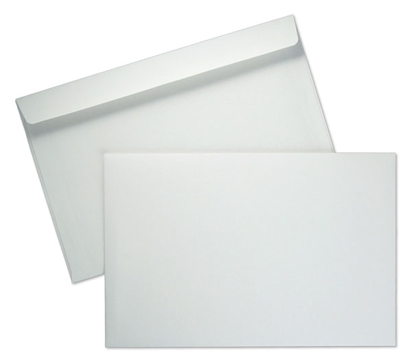 Blank White 6 x 9 Booklet Envelope to Go With 5 1/2 x 8 1/2 Card