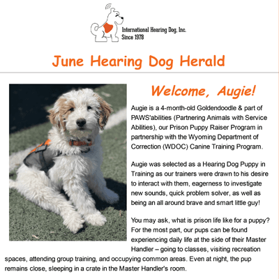 The Hearing Dog Herald - June 2022
