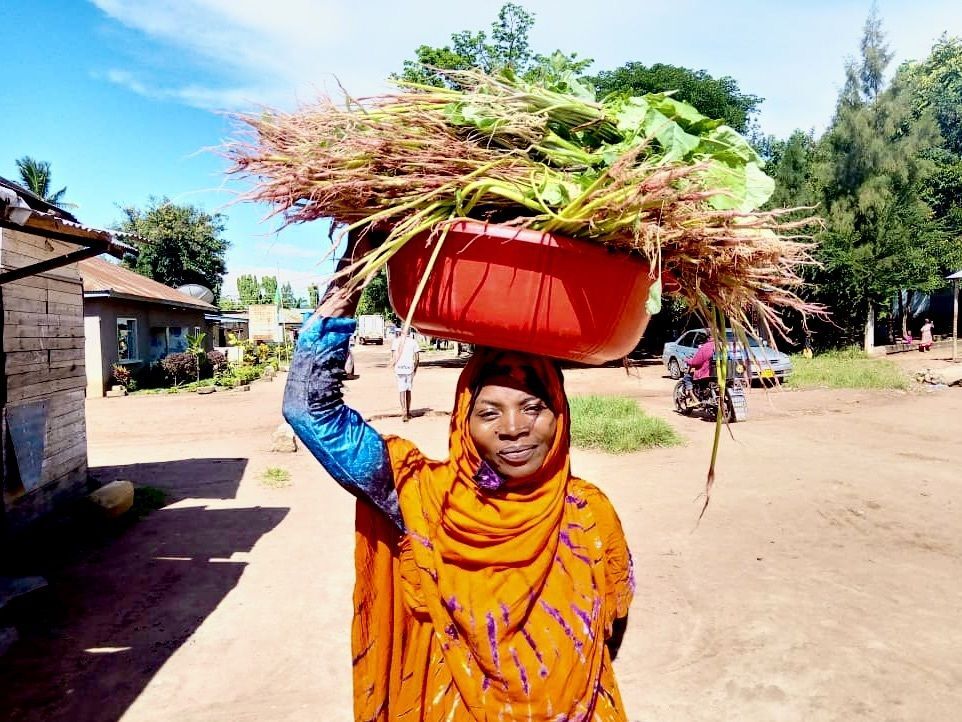 Empowering Widowed Mothers: Business, Education & Hope