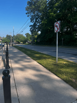 Grant Highlight: Wealthy Elementary Tree Planting Project