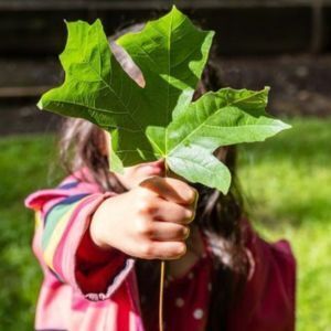 Compassion Tree Project