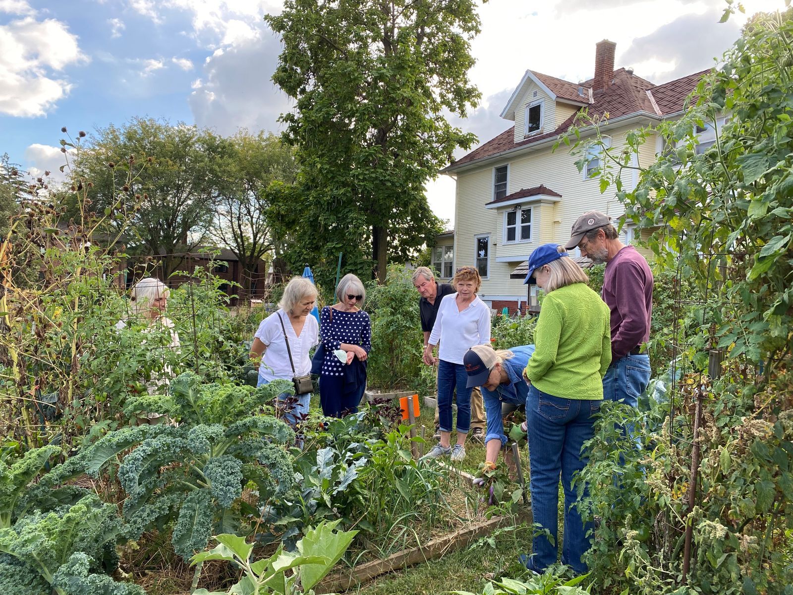 A group of men and women visit a home garden.