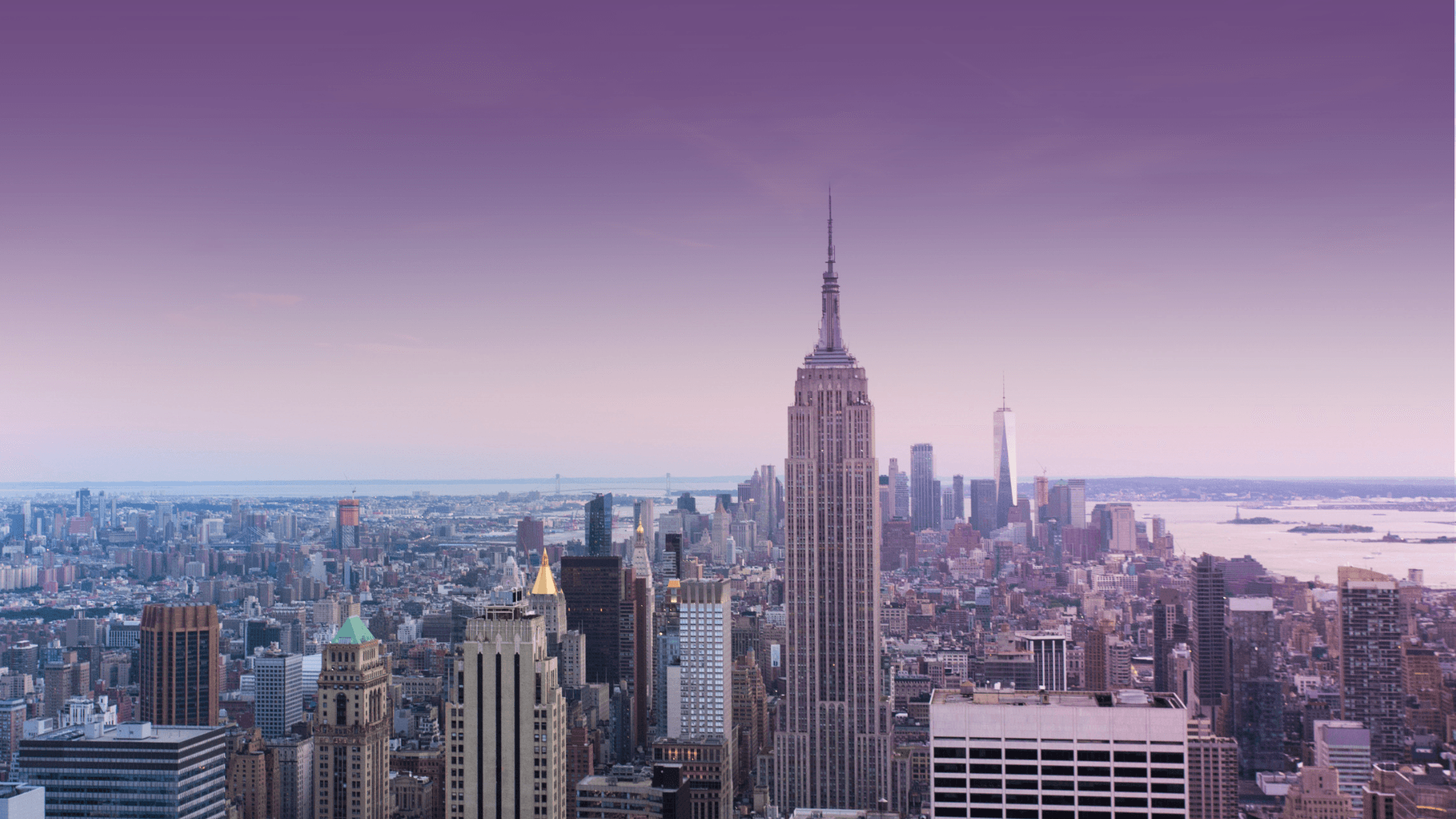 Together We Rise: Scholarship Fundraiser for ISPS 2026 NYC