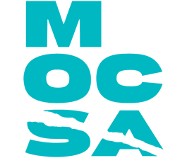 Metropolitan Organization to Counter Sexual Assault