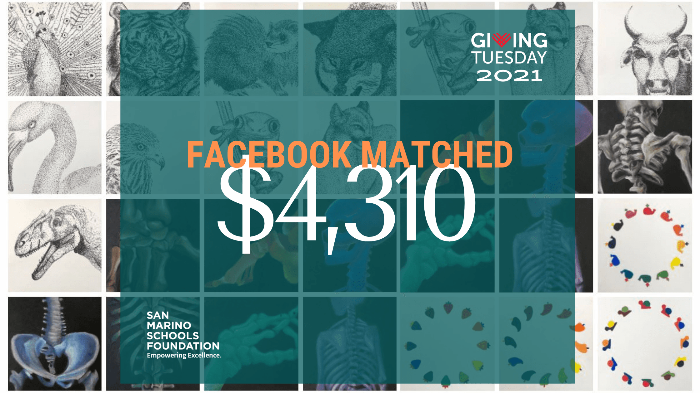 SMSF Received Biggest Ever Facebook Match for #GivingTuesday2021 Campaign
