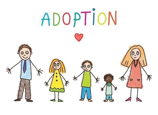 Adoption Staffing Training