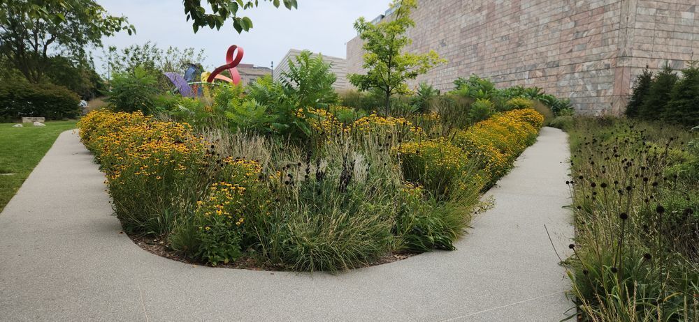 A curved garden bed filled with yellow black-eyed Susans, ornamental grasses, and ferns along a winding concrete path, with colorful sculptures and a stone building visible in the background.