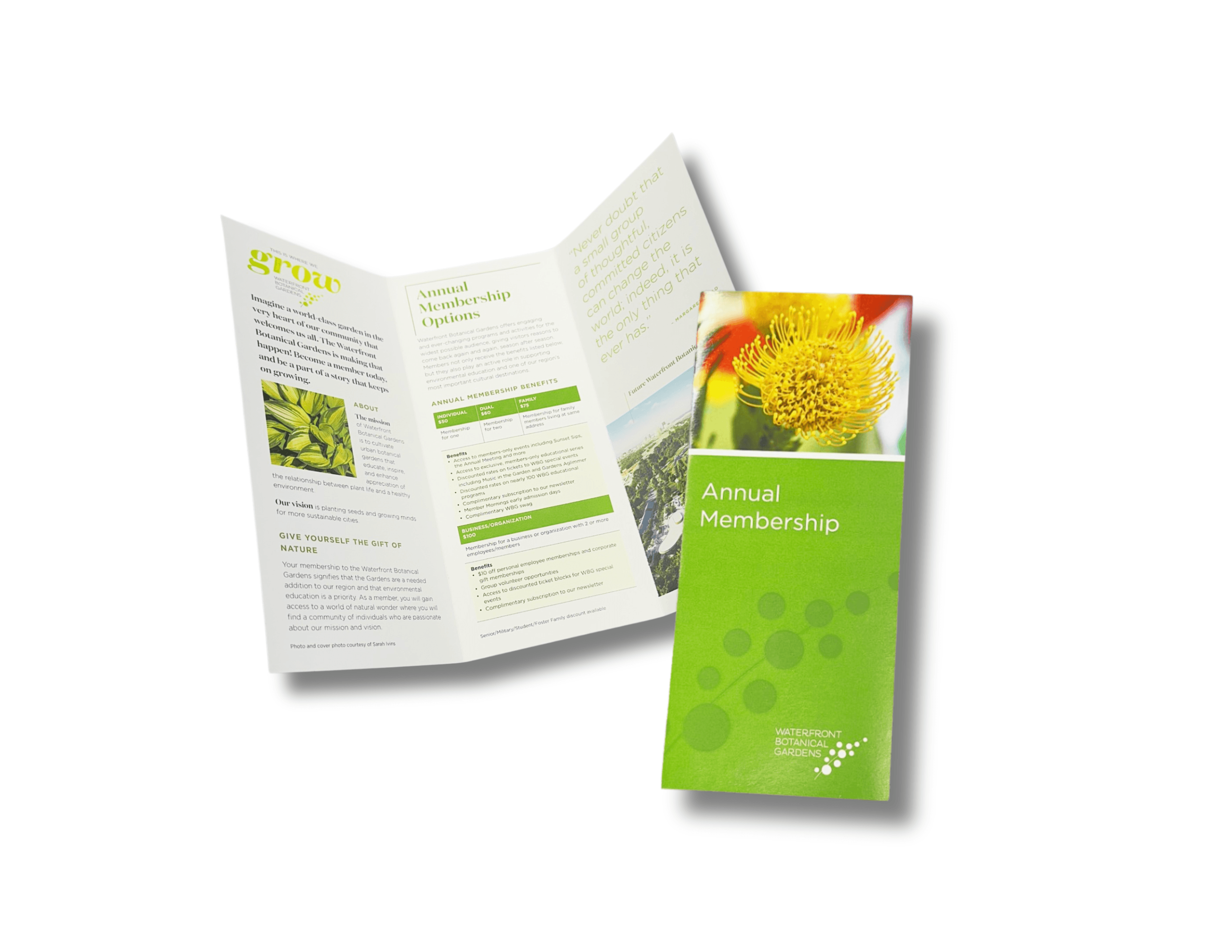 Brochures